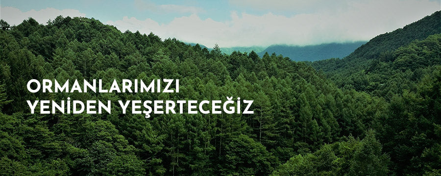 Ormanlarımızı Yeniden Yeşerteceğiz!